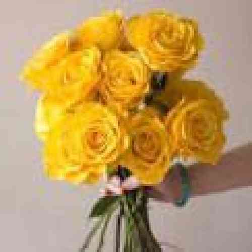  می دونی توی دنیا به غیر تو ندارم اگه بخوای دلم رو به زیر پات می ذارم